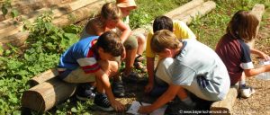 Bayerischer Wald Kinderurlaub am Bauernhof in Bayern Spaß und Fun für Kids