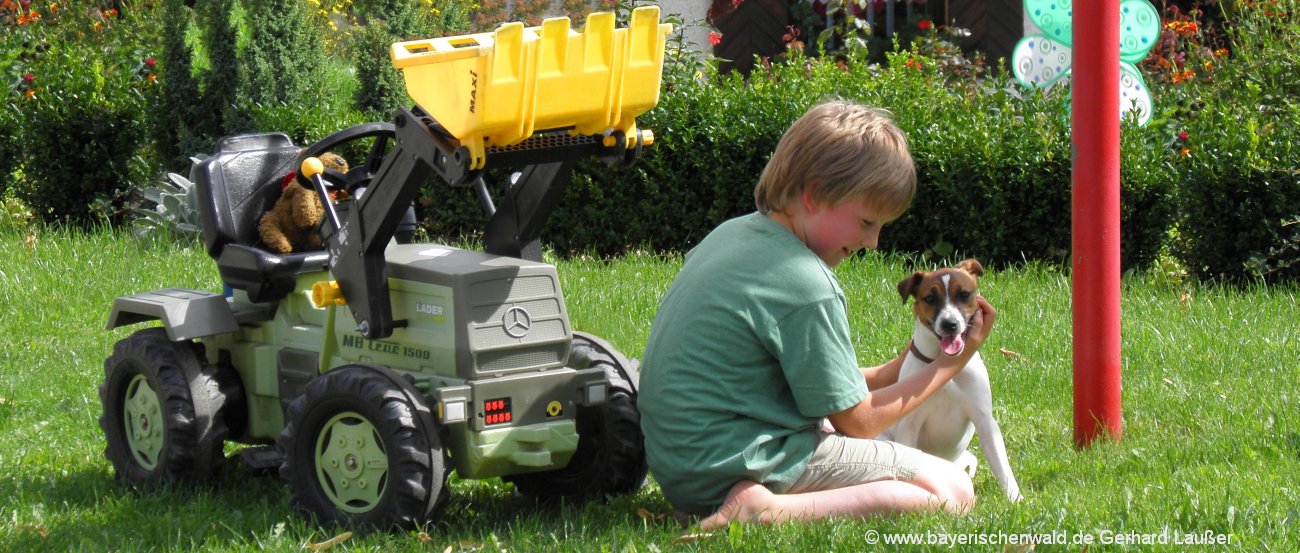 Bayerischer Wald Kurzurlaub mit Kindern und Hund in Bayern