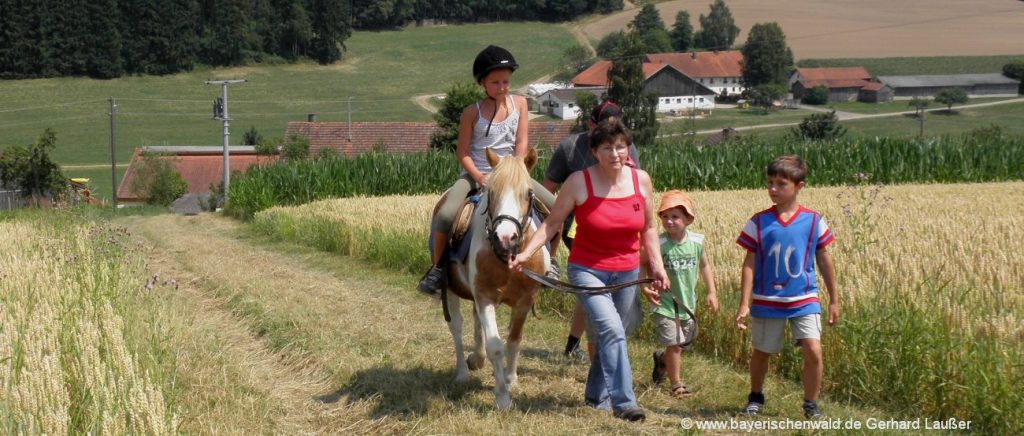 Bayerischer Wald Reitferien für Kinder in Bayern